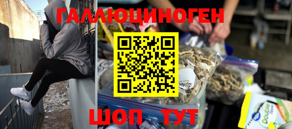 Александров  Галлюциногенные грибы MAGIC MUSHROOMS  Вход с VPN 